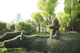 上海奉贤园林绿化工程 打造生态宜居新城的绿色引擎