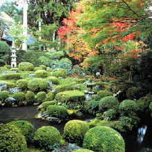 云南园林绿化工程全攻略 从价格解析到厂家批发一站式指南